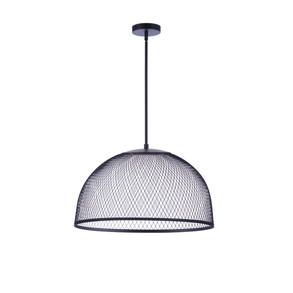 P1005FB-LED