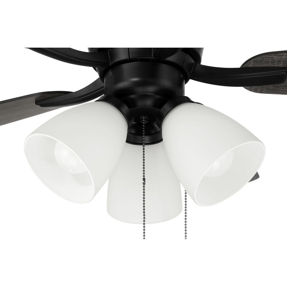 WHL52FB5C3