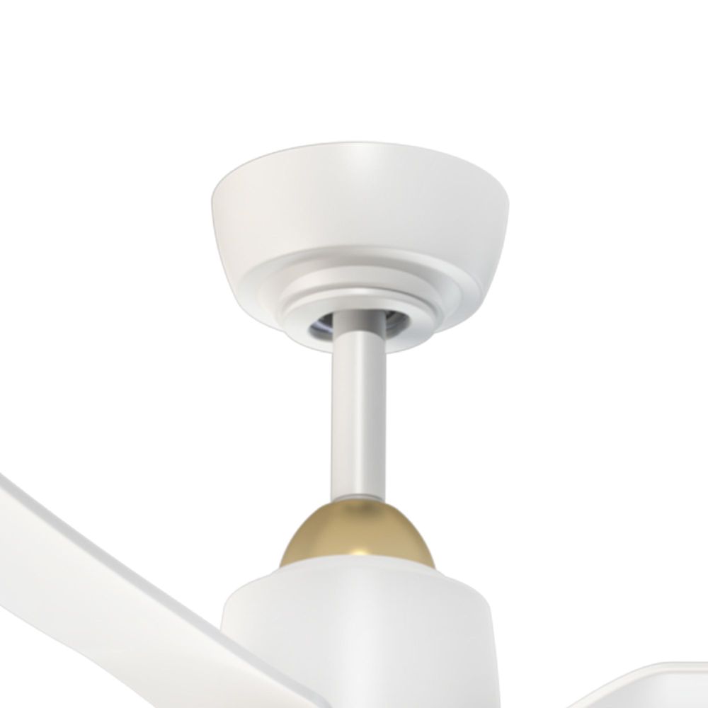 CF72942-BG/WH-5CCT