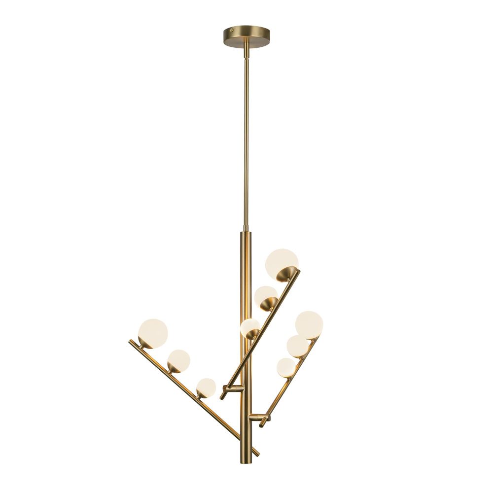 CH55524-BG/OP