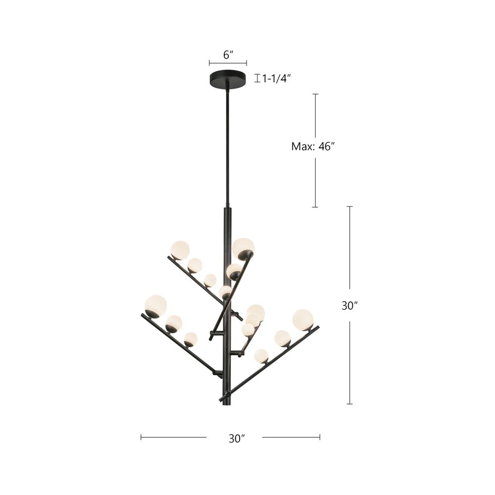 CH55530-BK/OP