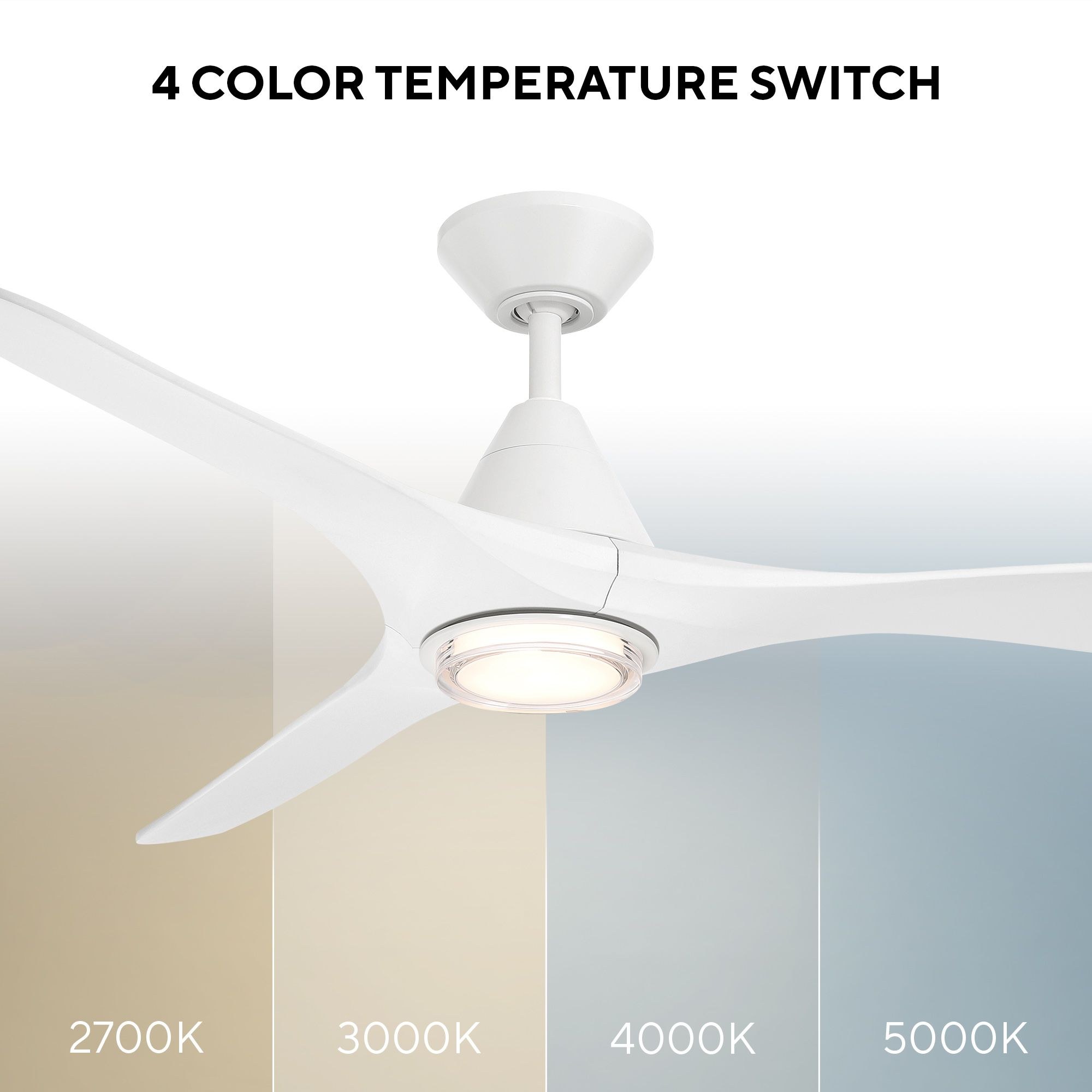 FR-D2504-60L-MW